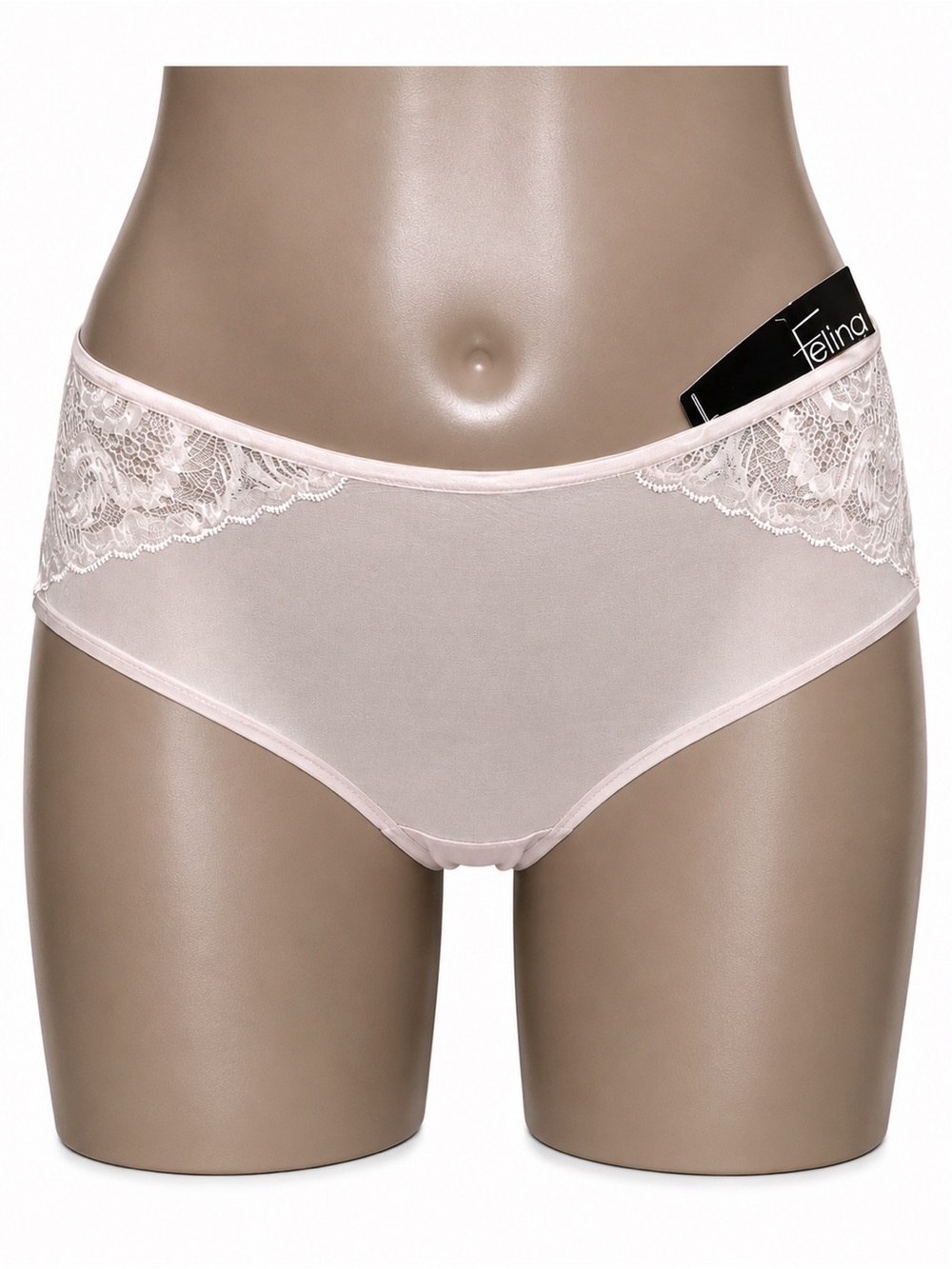 Felina Lou Lou Lace Mesh Hipster Panty Underwear Blush Back Keyhole Sz M NWT
